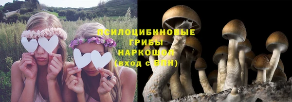стафф Нягань