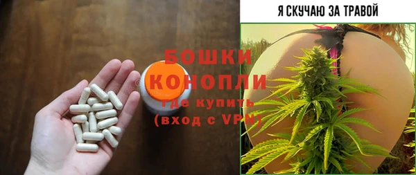 крисы Няндома