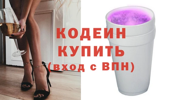 крисы Няндома
