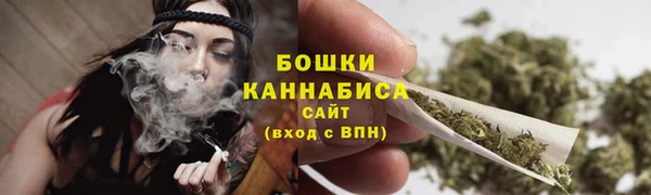 стафф Нягань