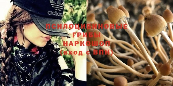 ешки Нязепетровск