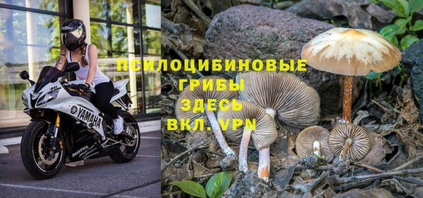 стафф Нягань