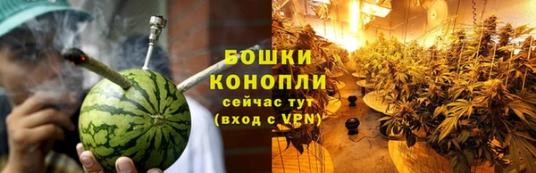 крисы Няндома